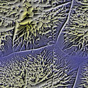[Sample texture]